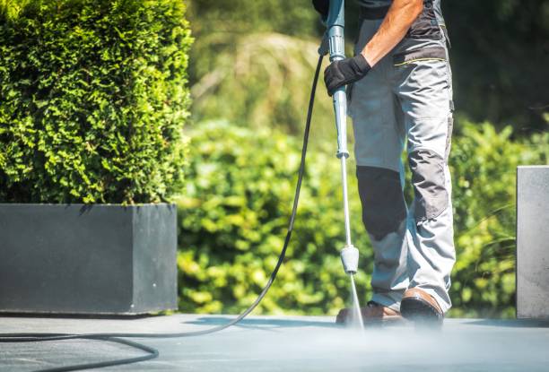 Best Pool Deck Cleaning in Alderson, WV