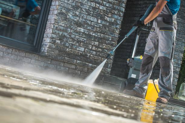 Best Vinyl Siding Pressure Washing in Alderson, WV