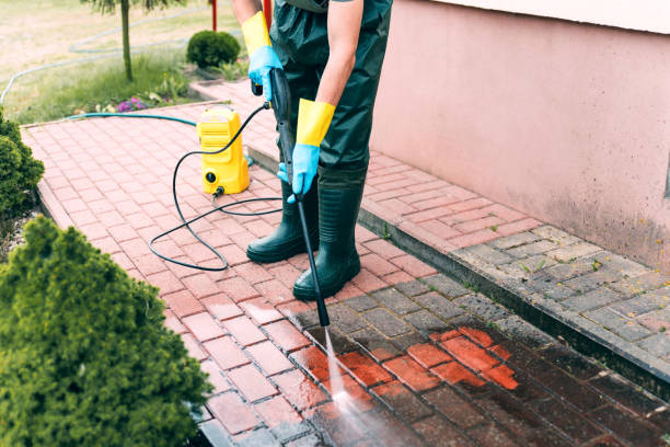 Best Parking Lot Cleaning in Alderson, WV